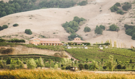 Viansa Winery