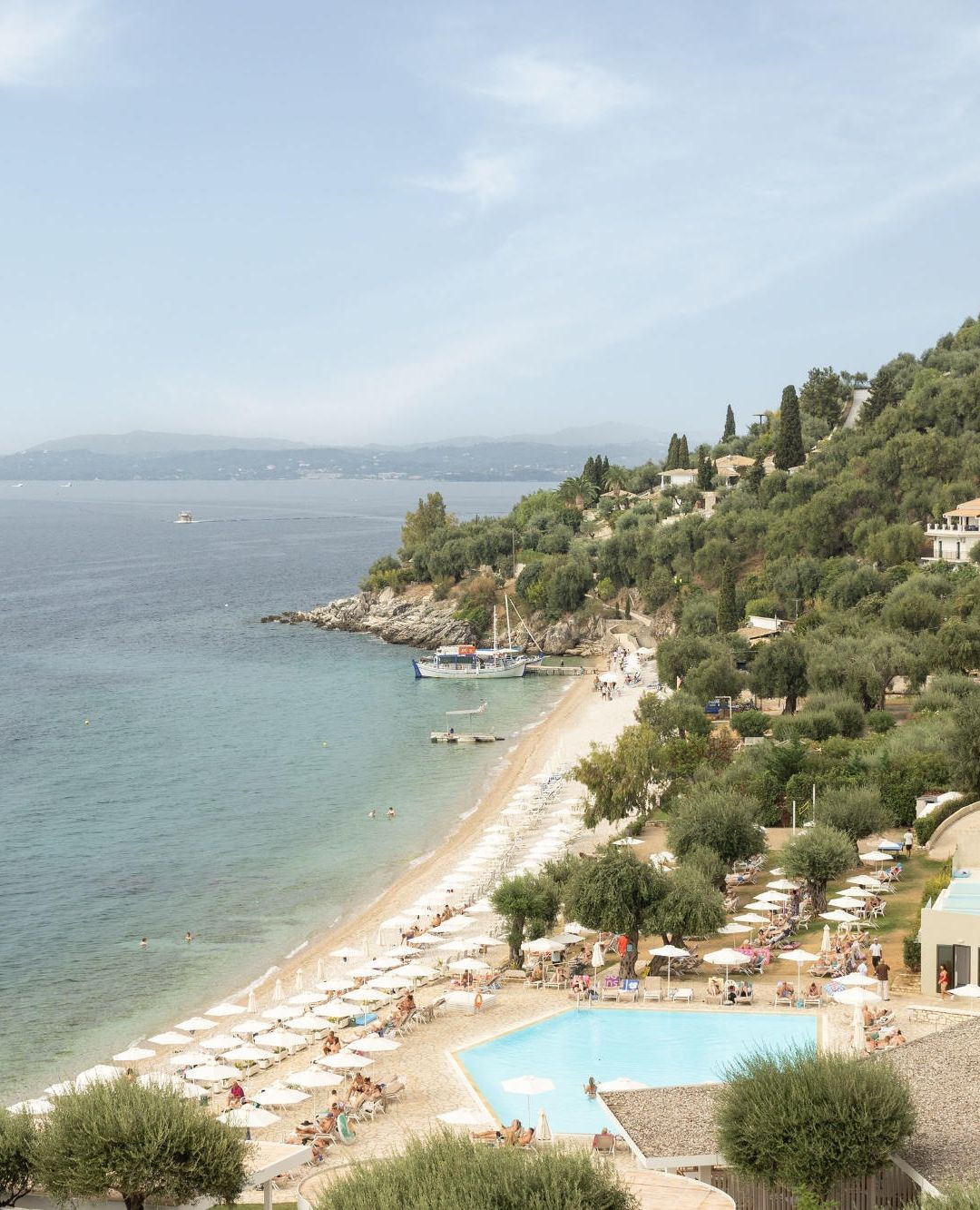 Scenic Olive Grove Landscapes
