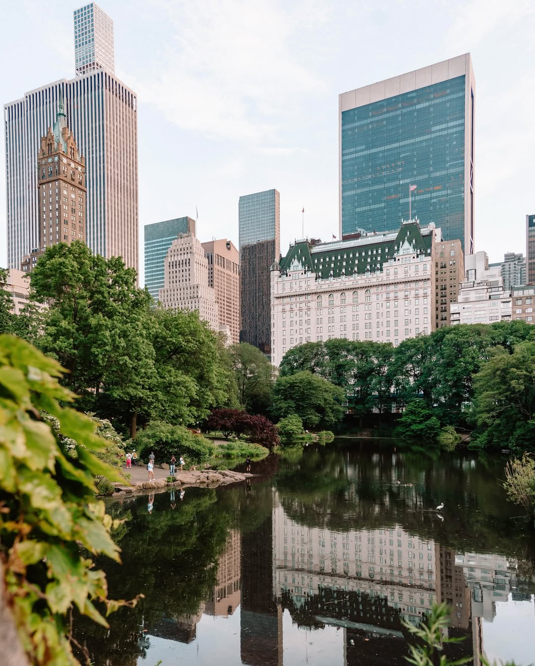 Central Park in Every Season