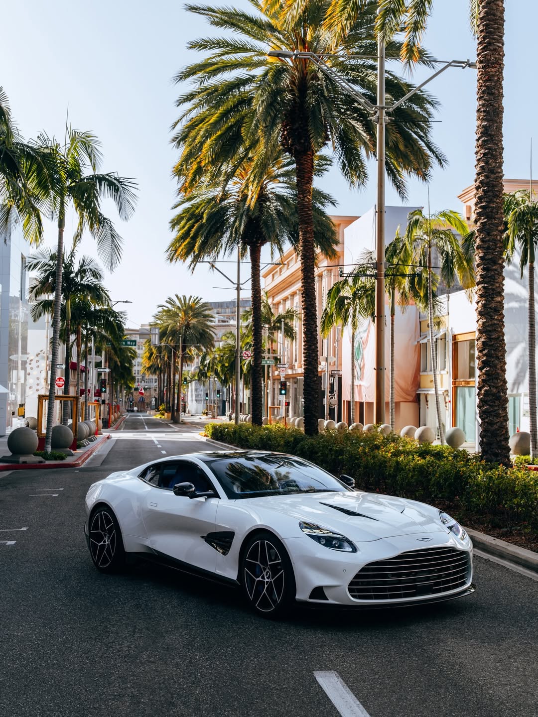 Beverly Hills Elegance