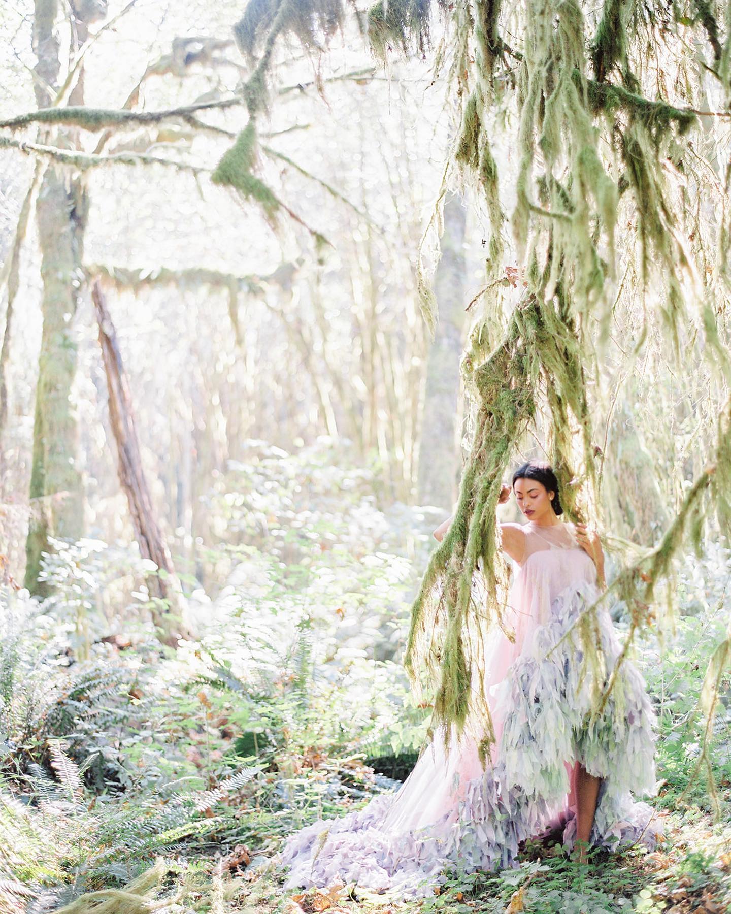 20 Dreamy U.S. Forest Wedding Venues 20 Dreamy U.S. Forest Wedding Venues photo