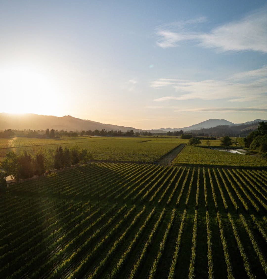 Napa Valley Wine Country Celebrations