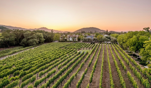 V. Sattui Winery