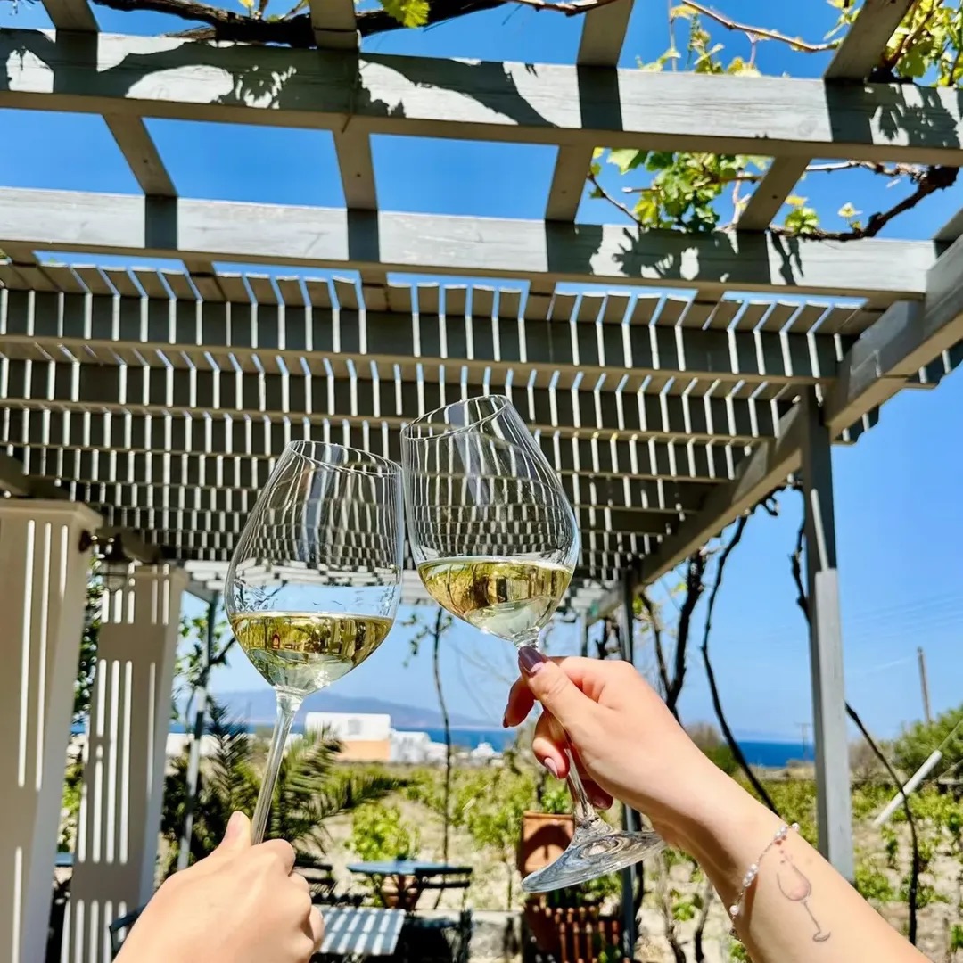 Volcanic Vineyards & Unique Wines