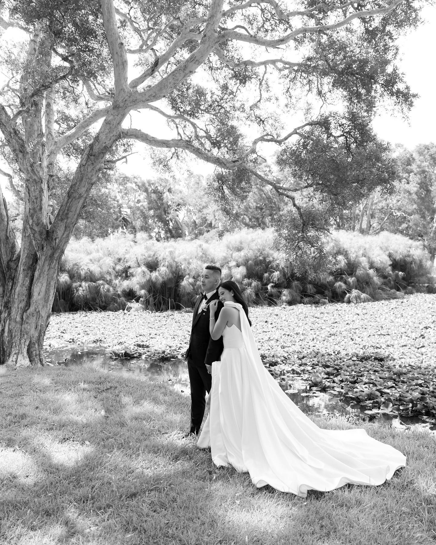 Perfect Locations in Sydney for Wedding Photo Session Perfect Locations in Sydney for Wedding Photo Session photo