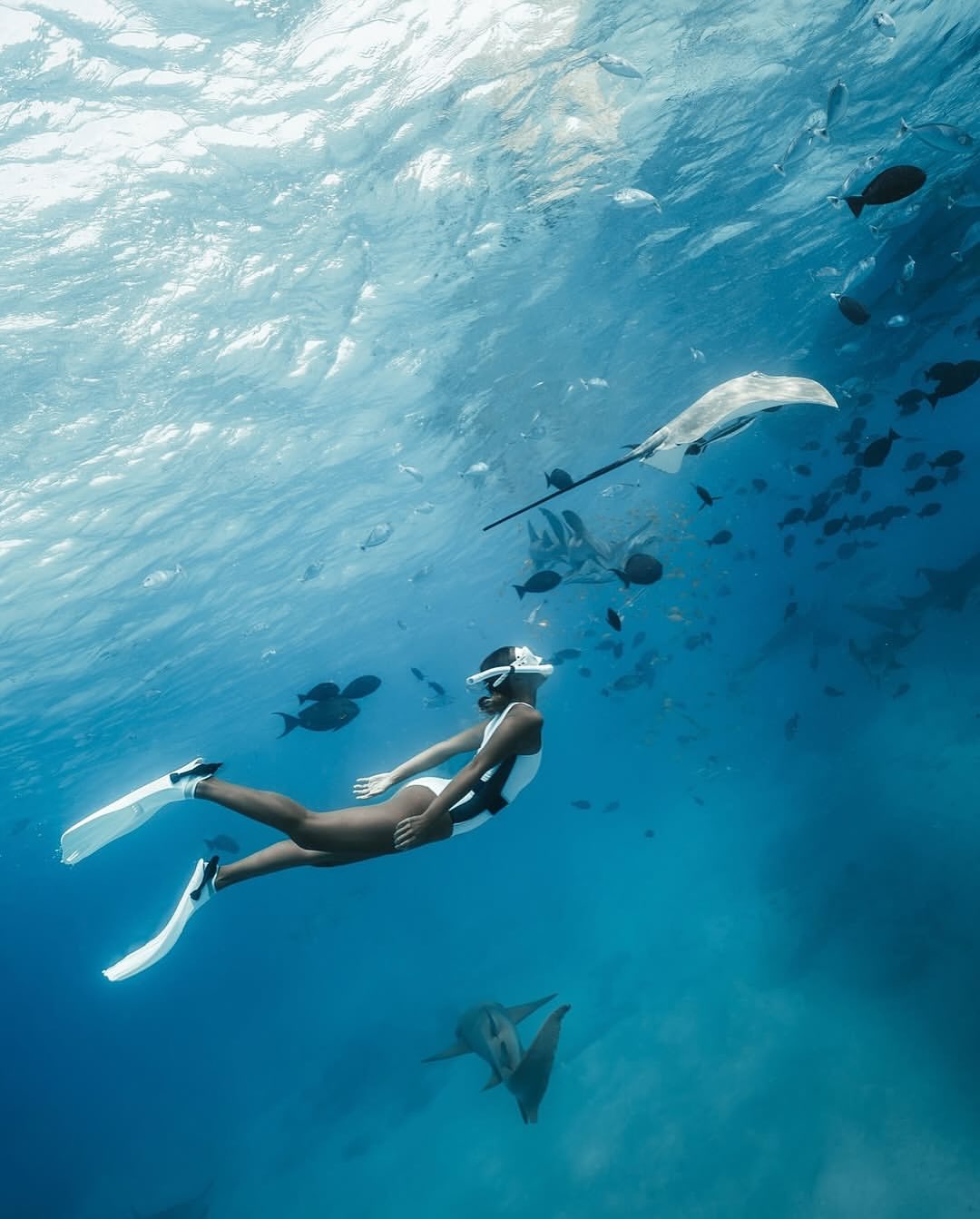 Coral Reef Diving