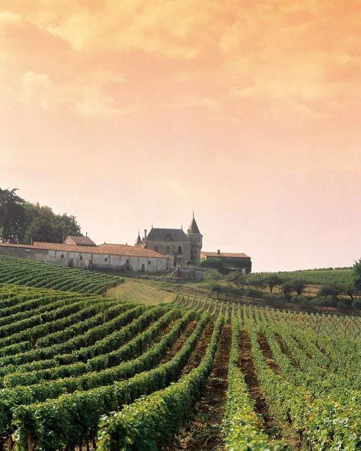 Bordeaux Wine Region