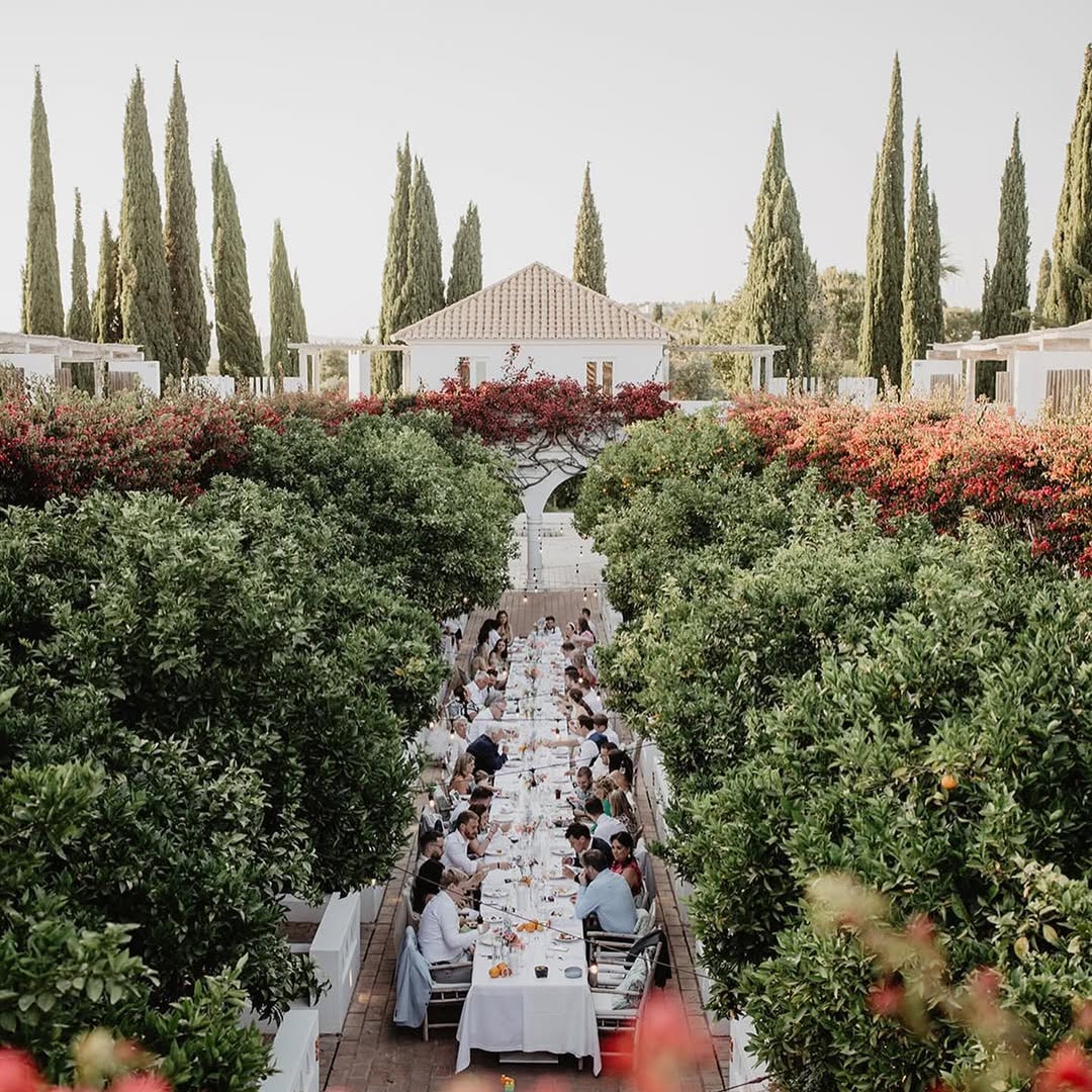 Alfresco Receptions Under Olive Trees