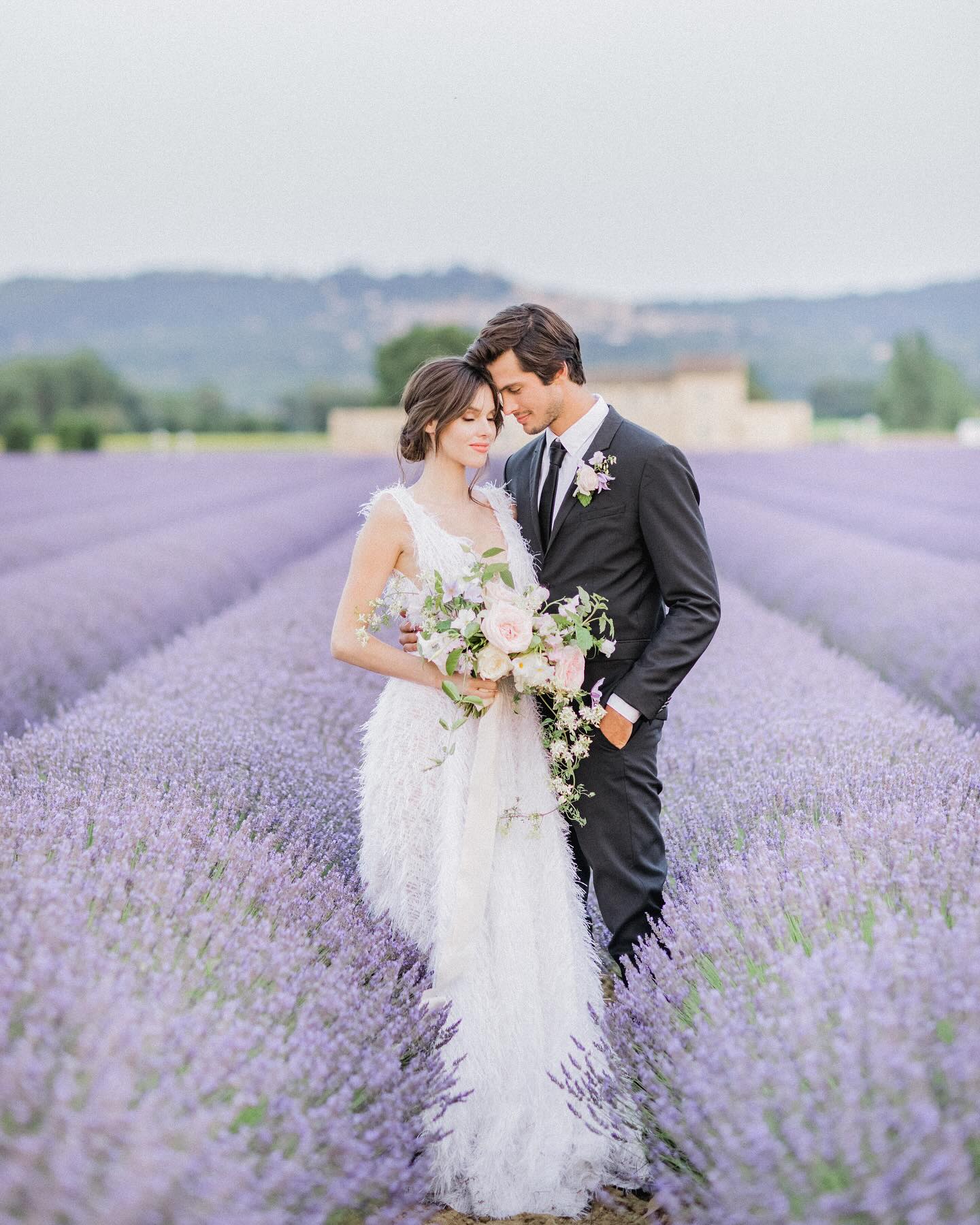 Best Lavender Fields Locations for Wedding Photos in France Best Lavender Fields Locations for Wedding Photos in France photo