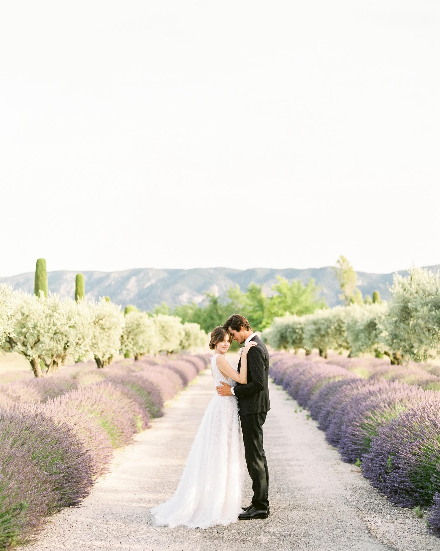 Provence Weddings: A Blend of Romance and Rustic Elegance Provence Weddings: A Blend of Romance and Rustic Elegance photo
