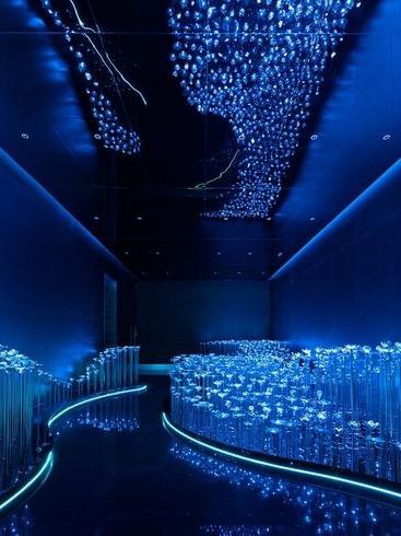 Cobalt Blue Wedding Decor Ideas Cobalt Blue Wedding Decor Ideas photo