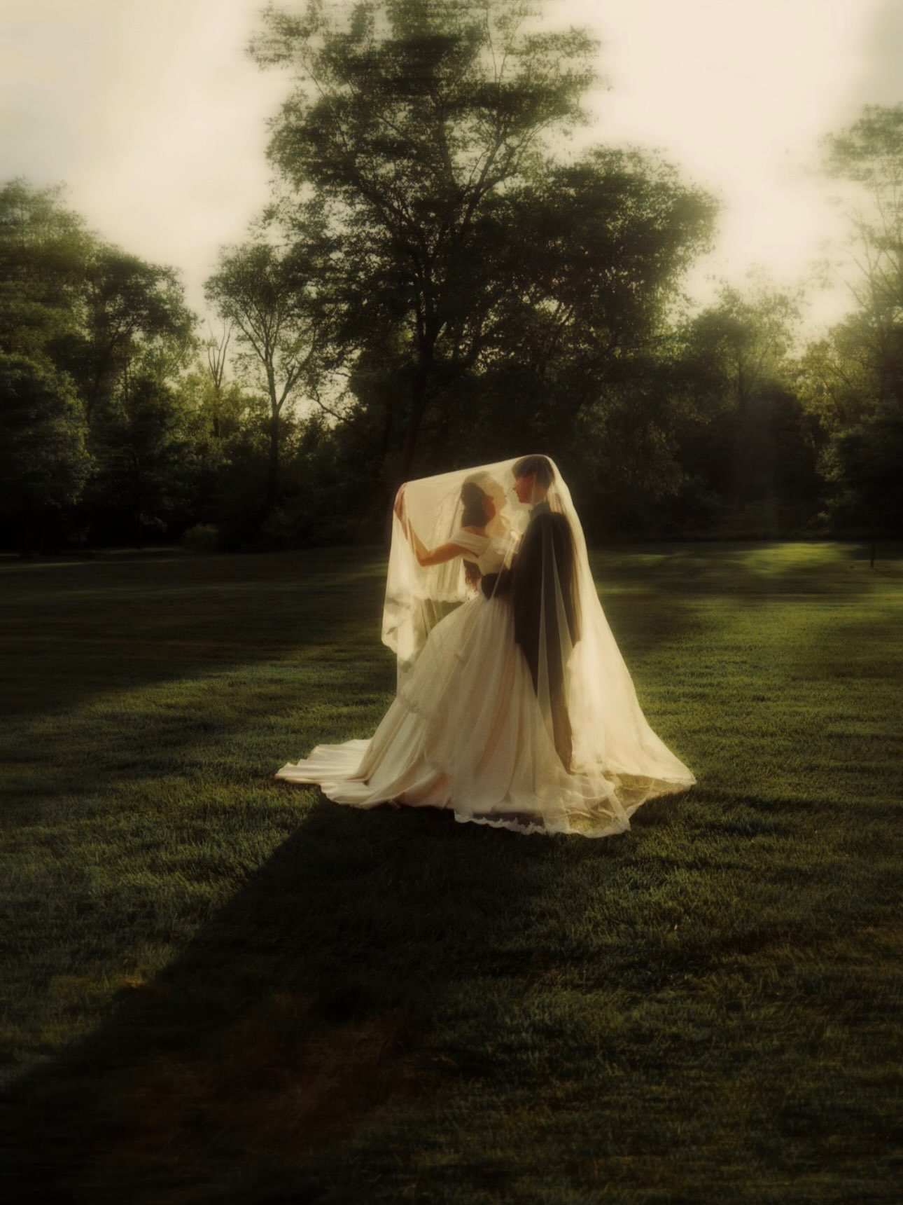 Pride and Prejudice Quotes About Love photo
