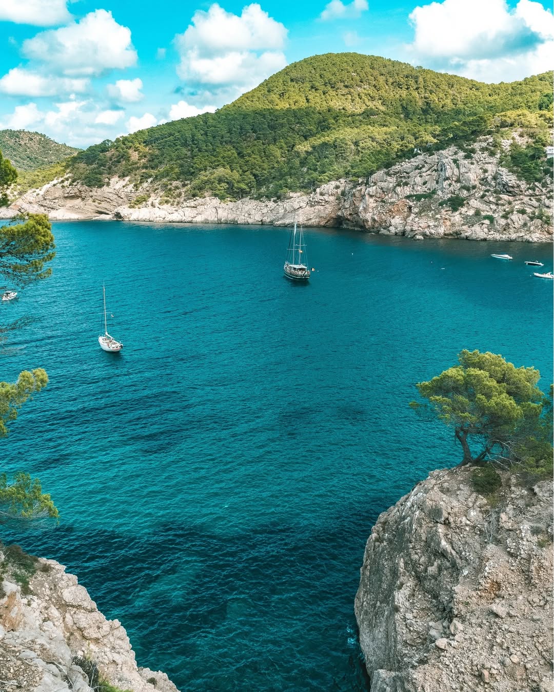 Cala Comte’s Turquoise Waters