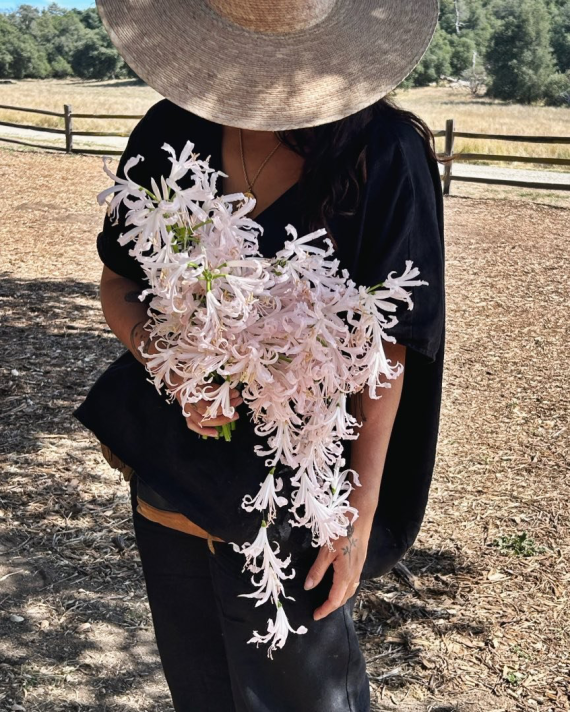 Siren Floral Co.