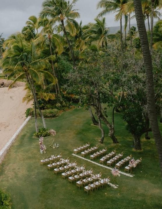 Top 5 Planners in Hawaii Top 5 Planners in Hawaii photo