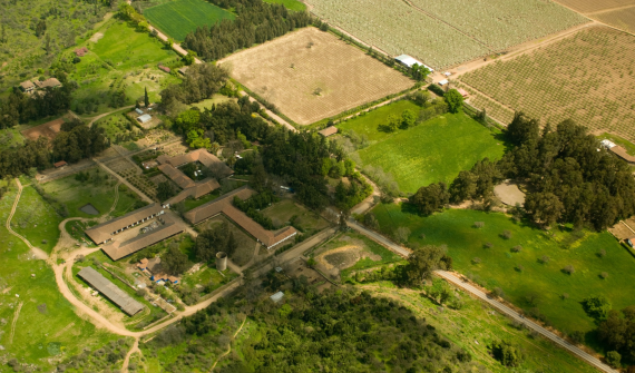 Hacienda Los Lingues