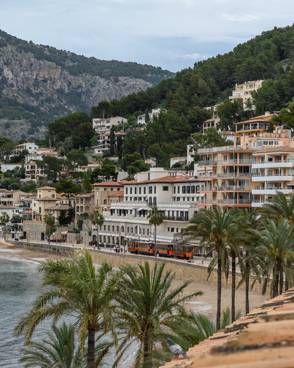 Estates Amidst Olive Groves