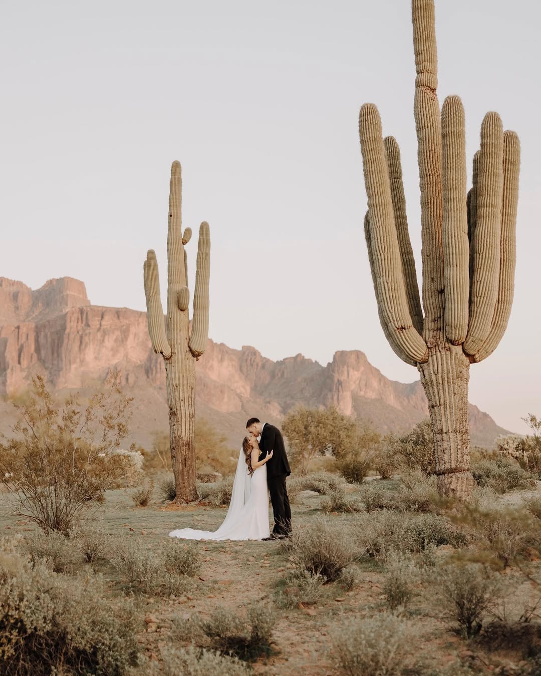 Blooming Cacti Garden Ceremonies
