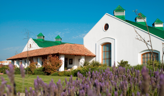 Viña Casas del Bosque