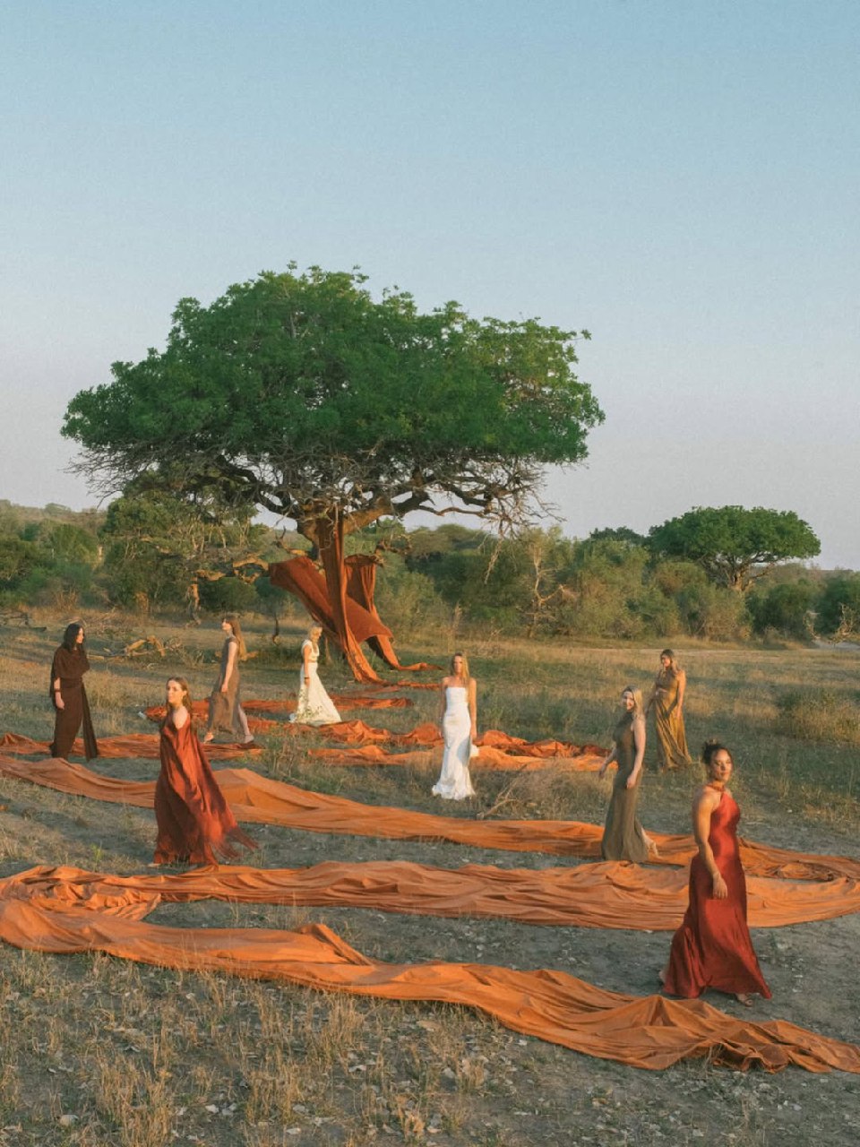 Fall Wedding: Complete Guide to Planning Your Autumn Celebration photo