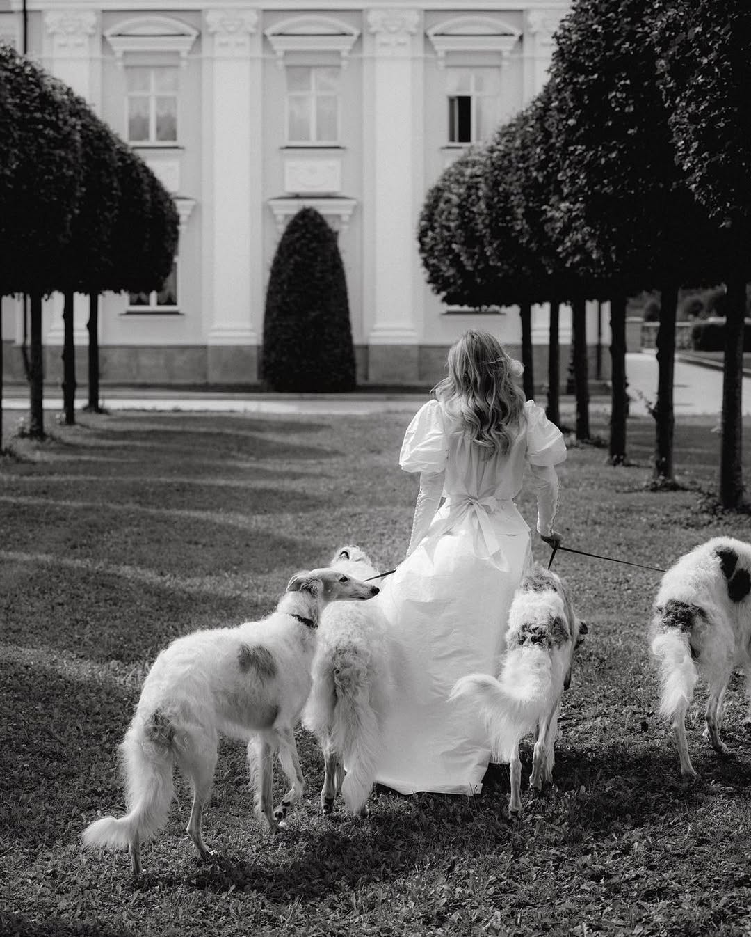 40 Ways to Include Pets in Your Wedding 40 Ways to Include Pets in Your Wedding photo