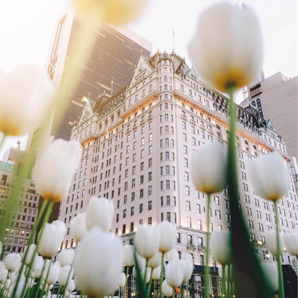 Top 5 Most Luxury Wedding Venues in Manhattan Top 5 Most Luxury Wedding Venues in Manhattan photo