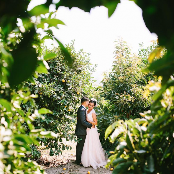 Danforth Neal Photographer