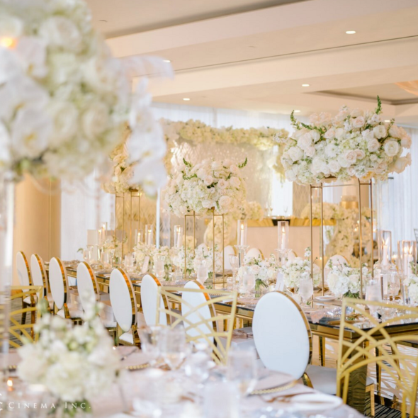 Kavita Mohan Events Planner Kavita Mohan Events Planner