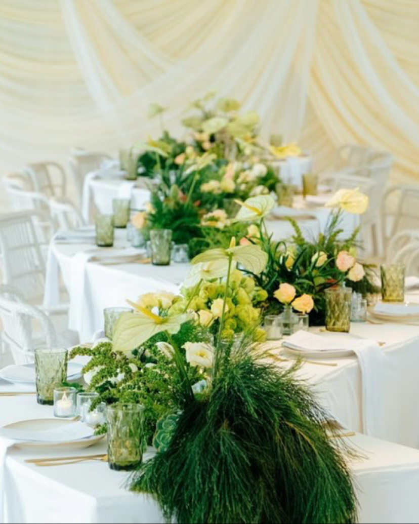 Nahid Global Events Planner Nahid Global Events Planner