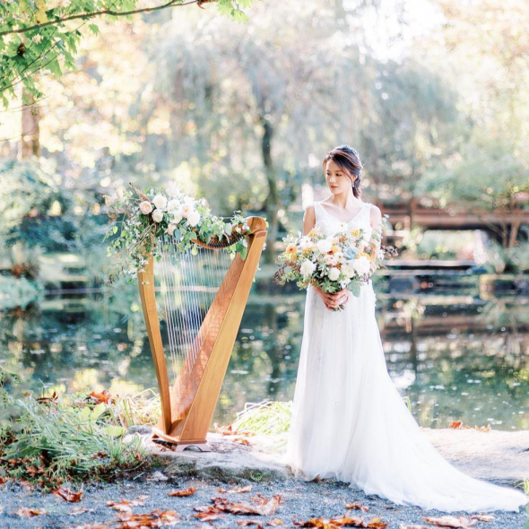 Aaron Liu Photographer