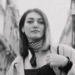 Sharon Dasht