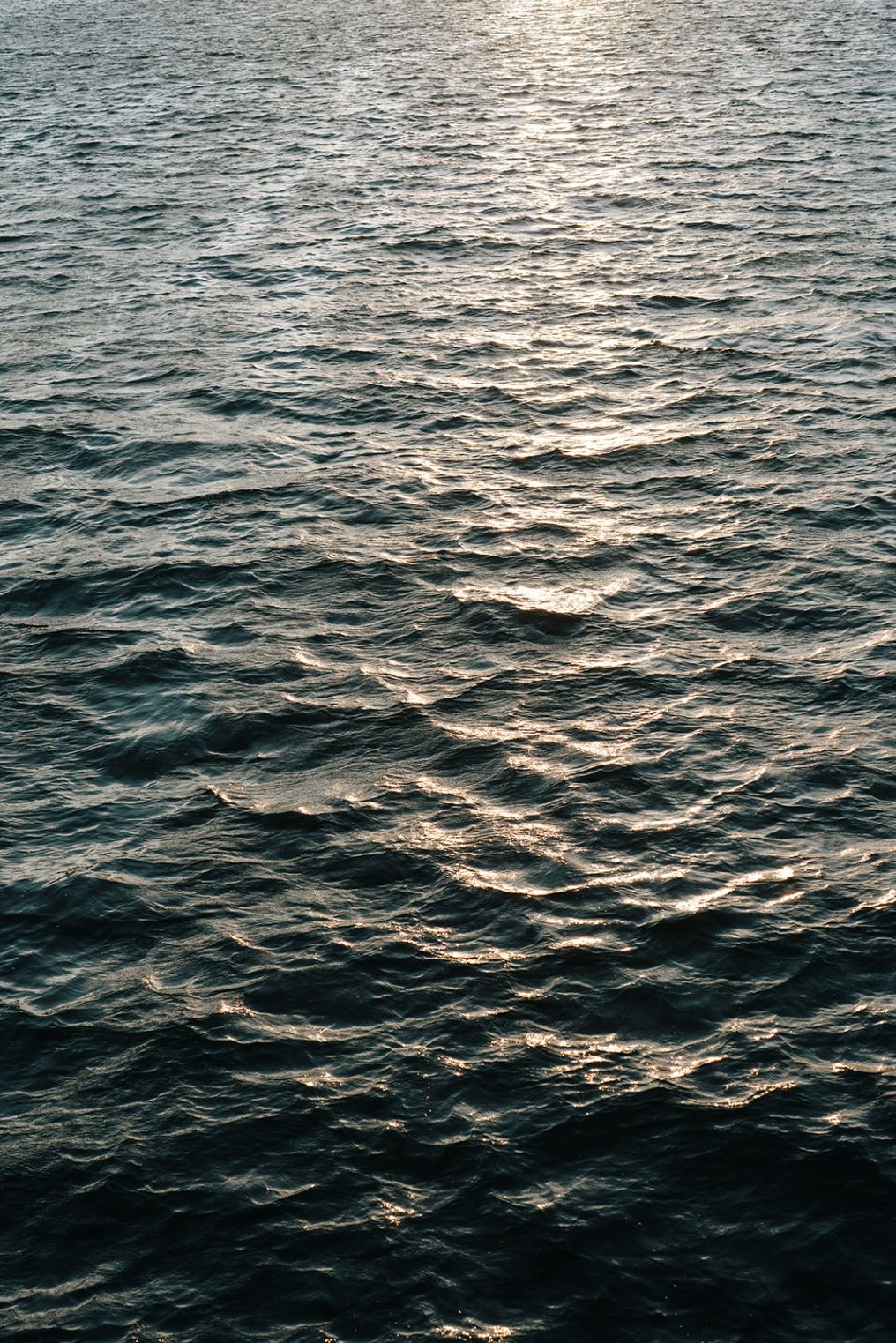 MCW Photocinema Photographer photo