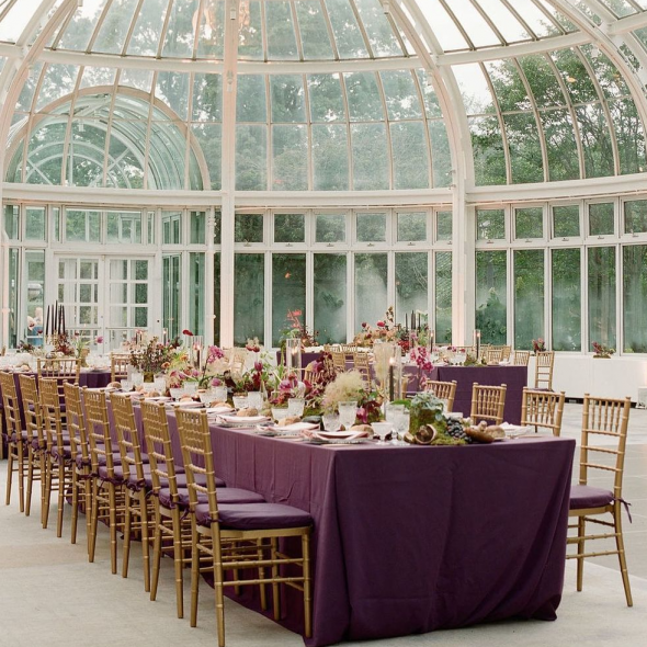 Apricity Event Co Planner