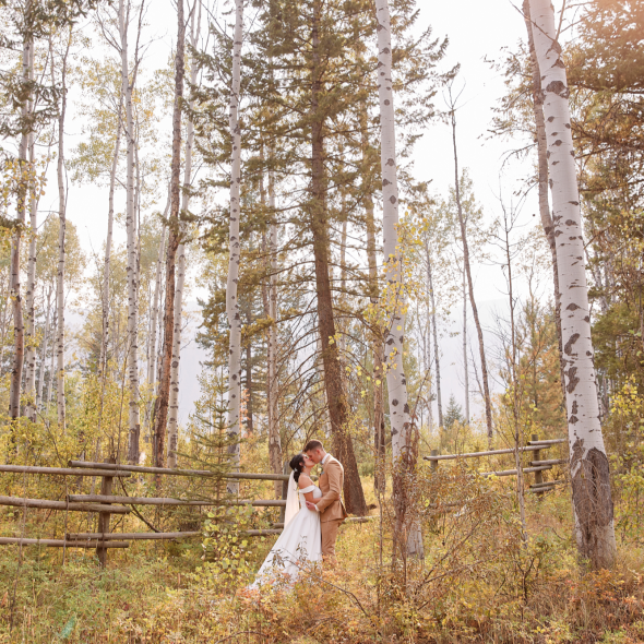 Greco Photo Company Photographer Greco Photo Company Photographer
