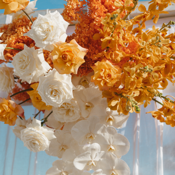 Loren Ioppolo Studio Photographer