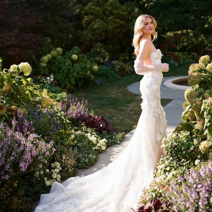 Aln Images Photographer Aln Images Photographer