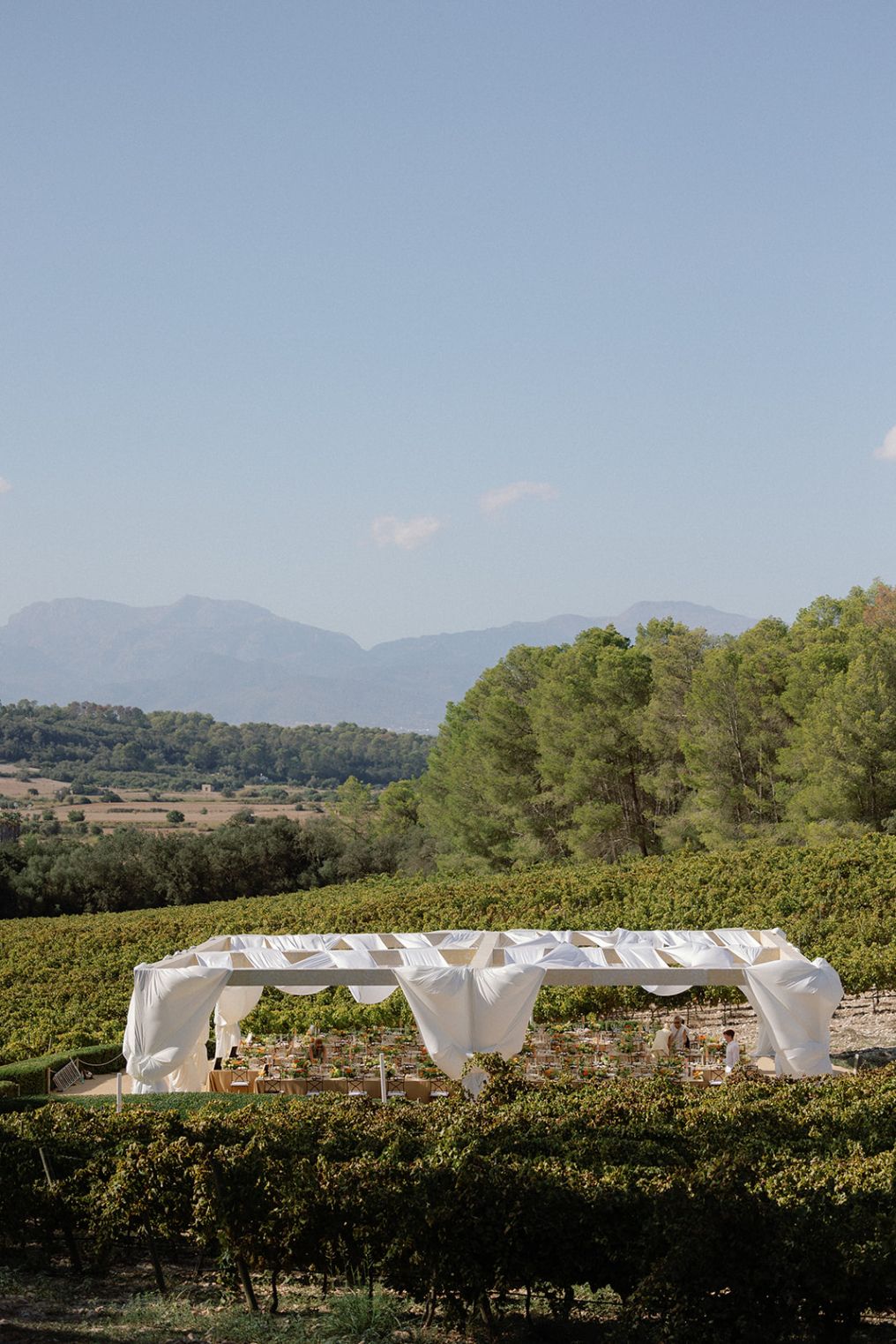 In Awe Weddings & Events Planner photo