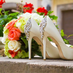 IPME Events Planner | Reviews