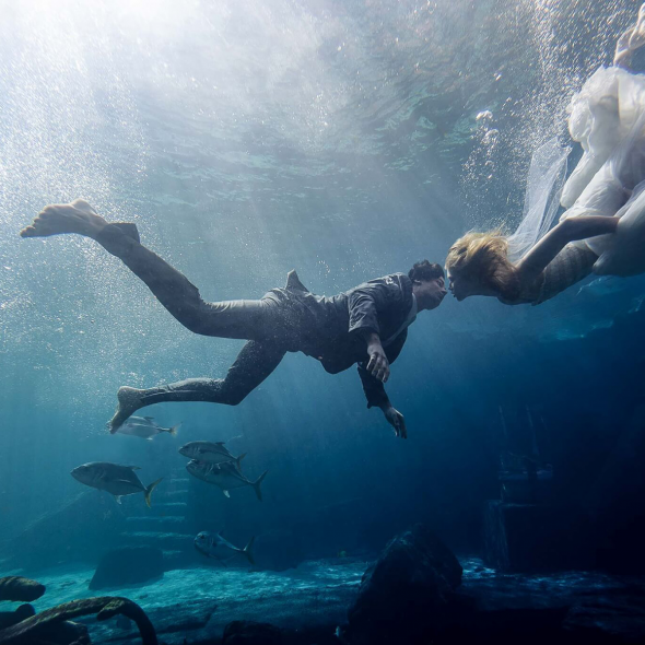 Maloman Studios Photographer