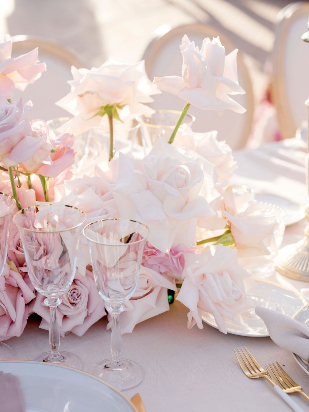 Purewhite Photography Photographer photo