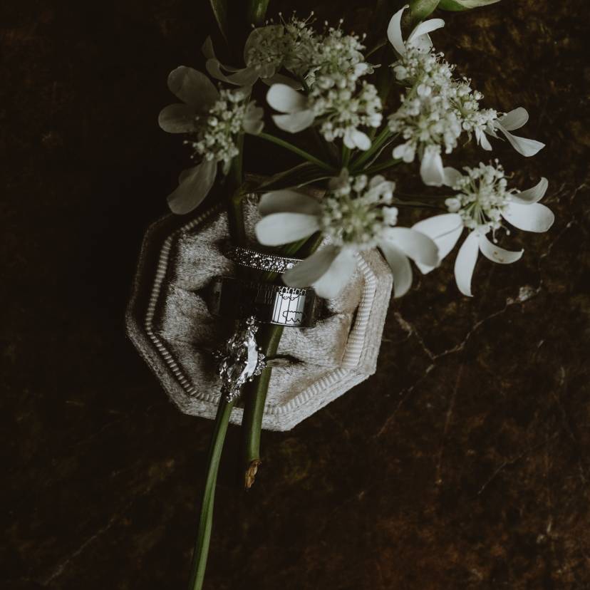 Kellie Kay Photographer