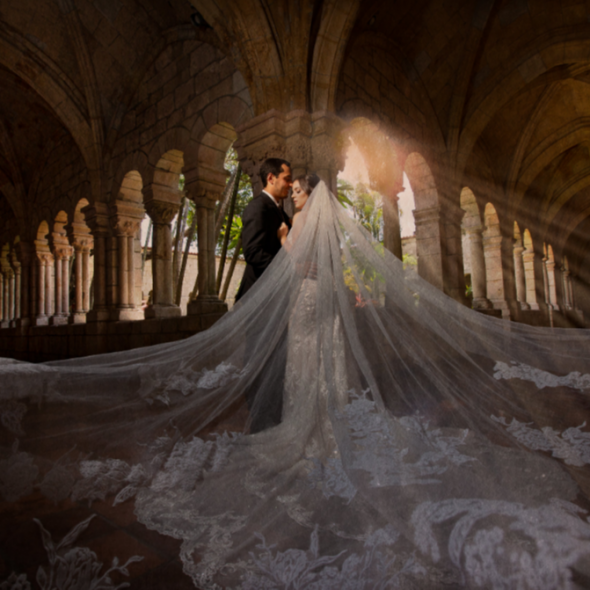 Carylux Photographer Carylux Photographer