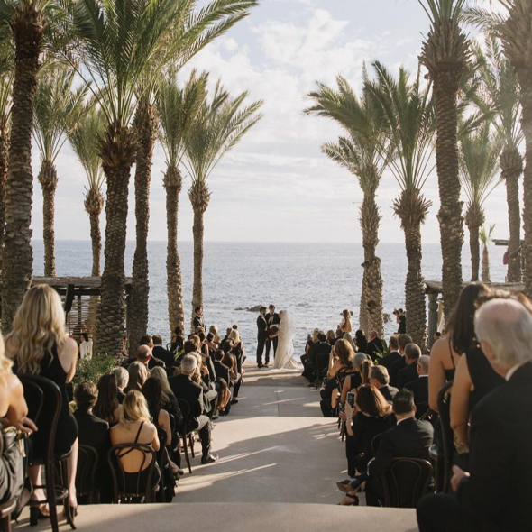 Kelly Brown Photographer