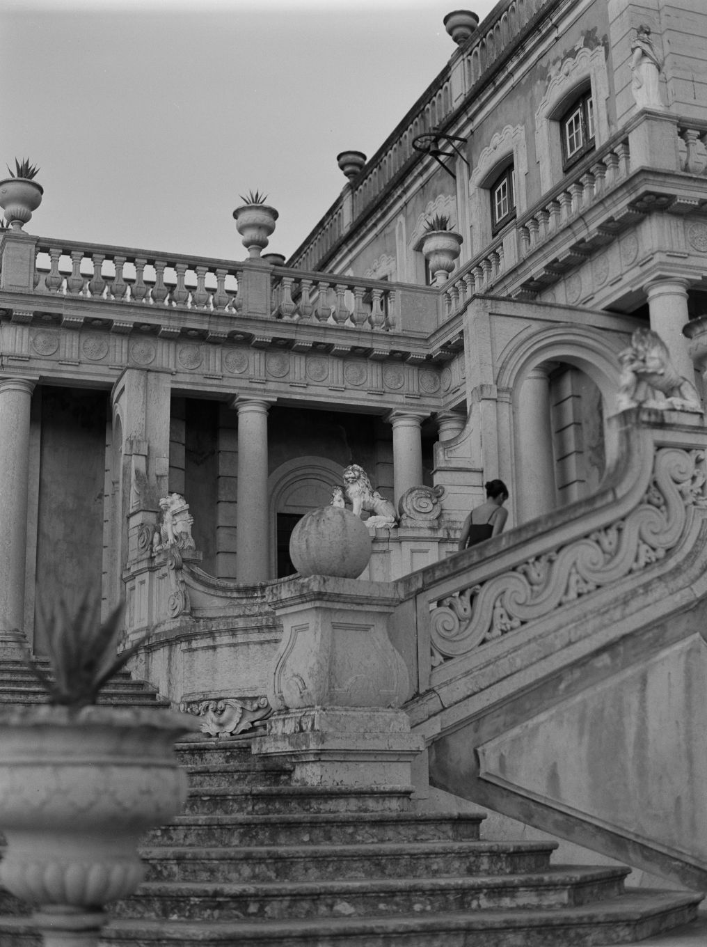 Alice Vicente Photographer photo