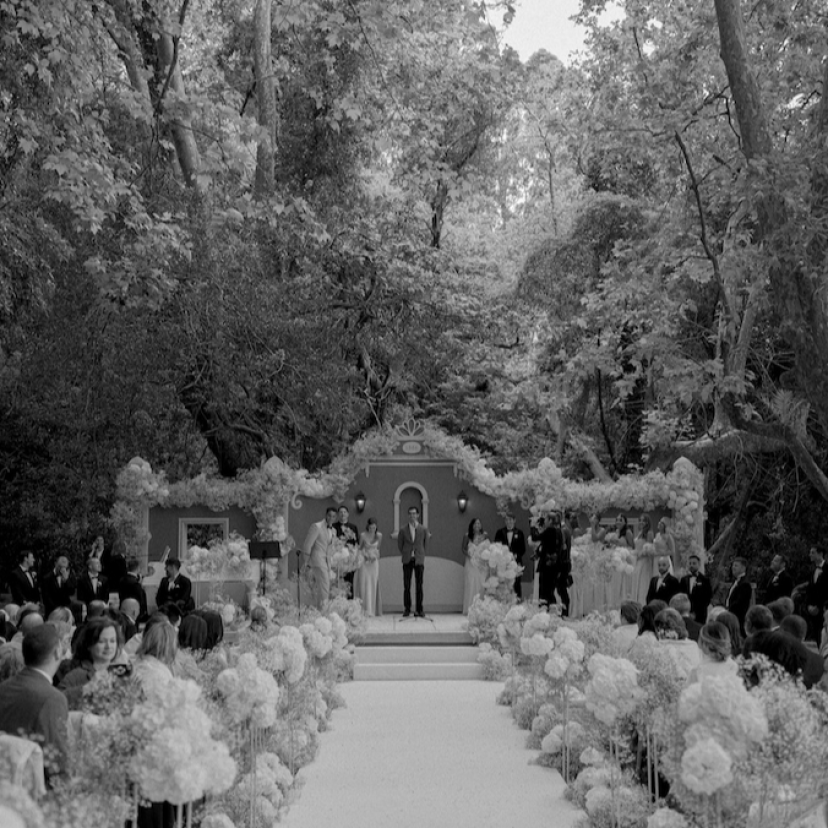 Alice Vicente Photographer