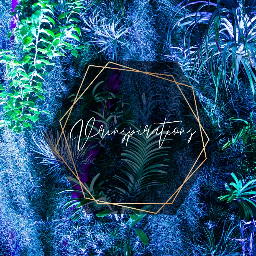 Vrinspirations Planner | Reviews