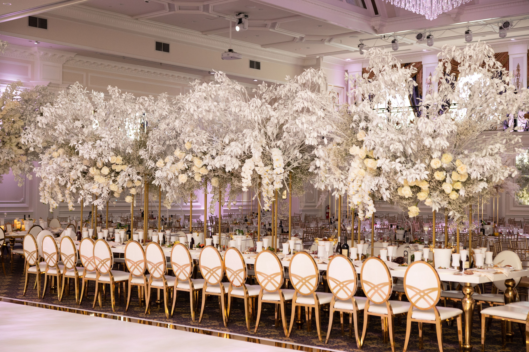 Julia &amp; Emiljan: A Royal Fairytale Unfolds at the Legacy Castle - An Extravagant Celebration of Love photo