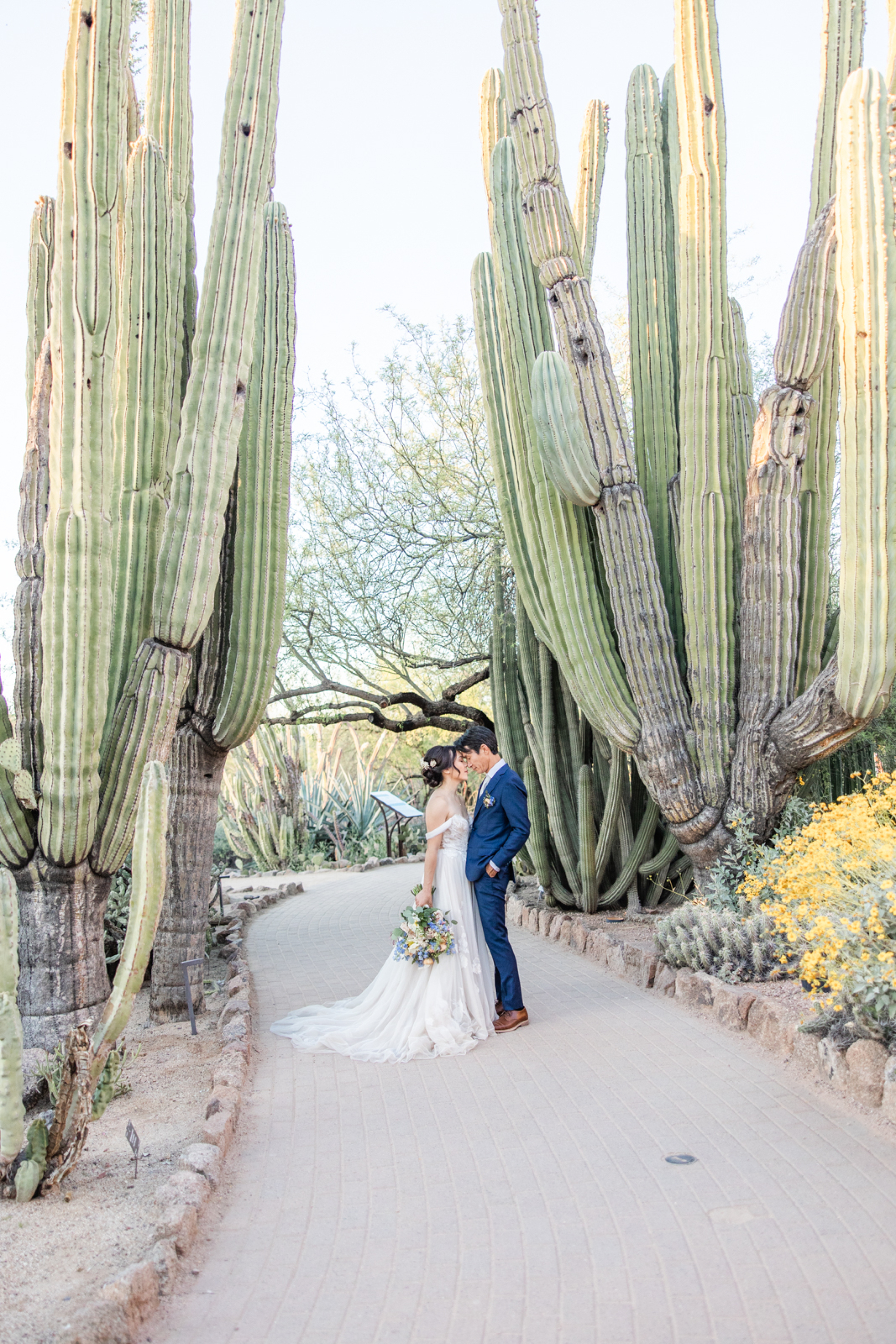 A Canvas of Love: Christie &amp; Yoskay's Pastel Dream Wedding at Desert Botanical Gardens photo