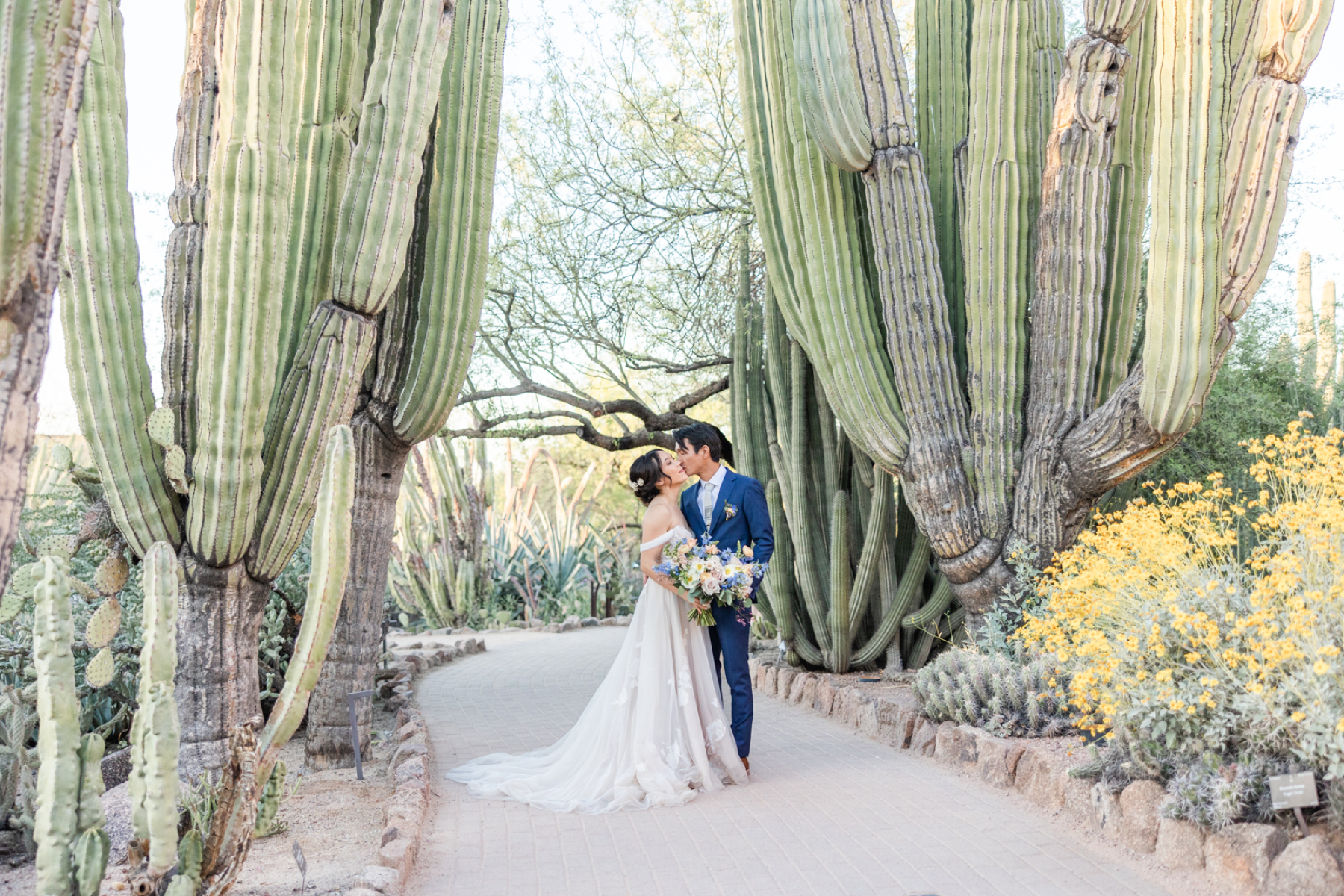 A Canvas of Love: Christie &amp; Yoskay's Pastel Dream Wedding at Desert Botanical Gardens photo