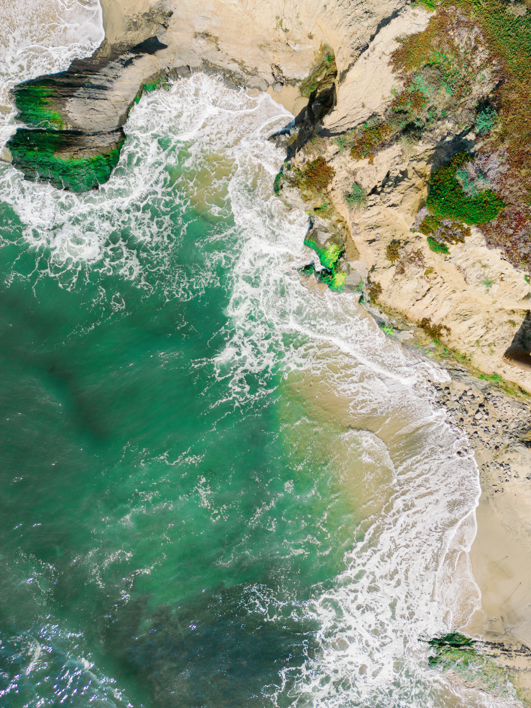 Roxanne &amp; Jeremy's Oceanfront I Do's at Ritz Carlton, Half Moon Bay photo